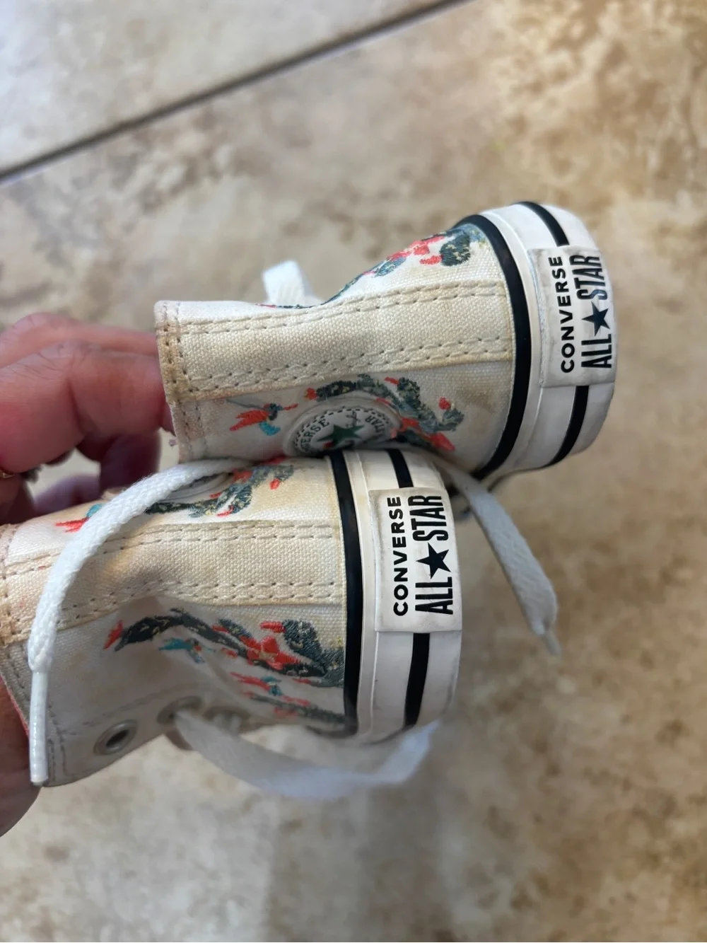 Converse Chuck Taylor All Star Hi Succulents Sneaker Vintage White